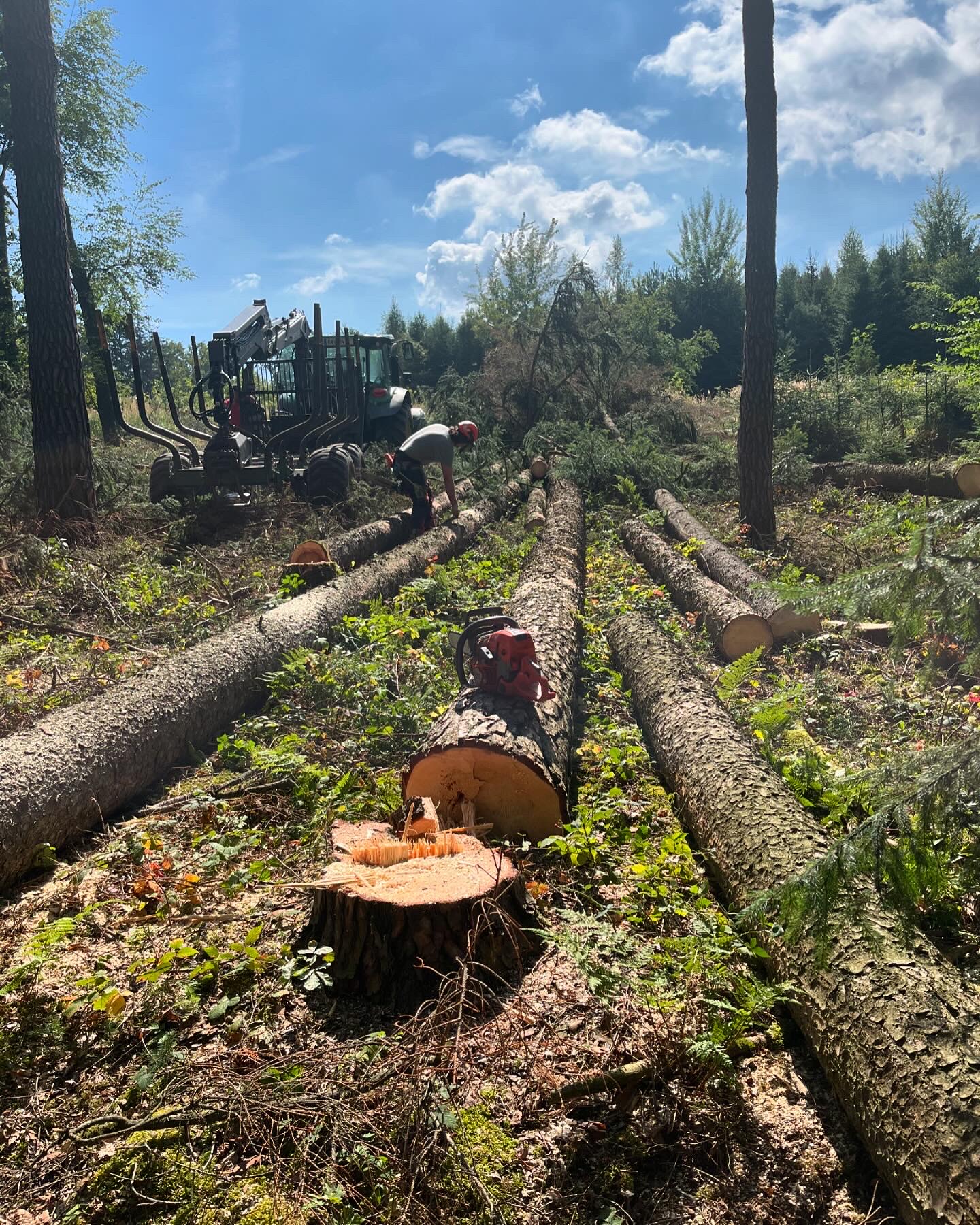 Wald- und Grünraumpflege Lukas Schliefnig aus Meggenhofen im Bezirk Grieskirchen in Oberösterreich