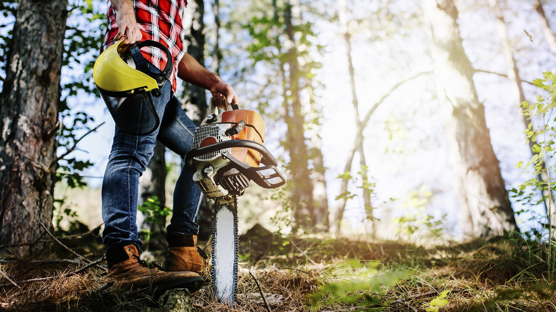 Wald- und Grünraumpflege Lukas Schliefnig aus Meggenhofen im Bezirk Grieskirchen in Oberösterreich